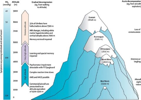 sickness acute altitudes everest acclimation ams shahrulnizam edema trek mohamad punca meninggal himalayan precautions beginner irunfar hape neurological increasing visual